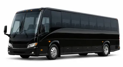 40 Passenger Charter Bus Rental Limolet