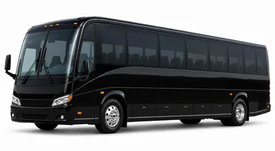 50 Passenger Charter Bus Rental Limolet