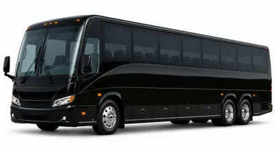 56 Passenger Charter Bus Rental Limolet
